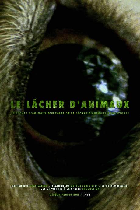 Le Lâcher d’Animaux